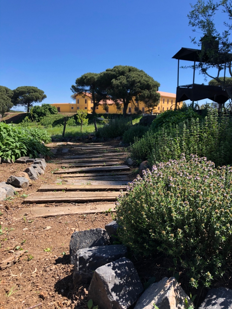 The Borghetto San Carlo agricultural estate (Credit: Cooperativa Coraggio)