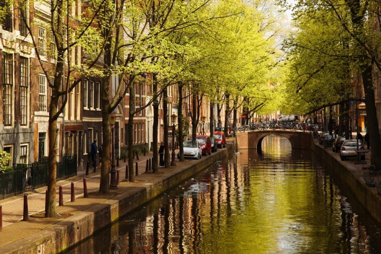 Amsterdam with green canal in the downtown, Holland