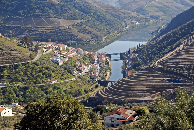 A landscape view of the vineyards of Pinhao, Portugal