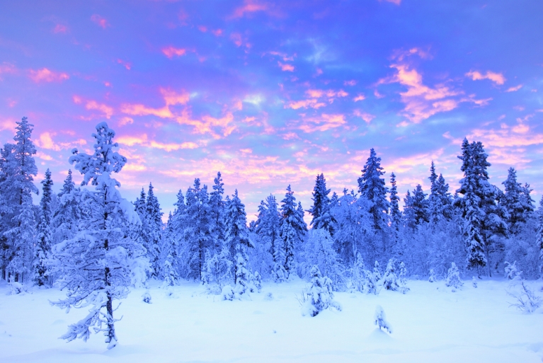 Swedish Lapland on a clear winter's day