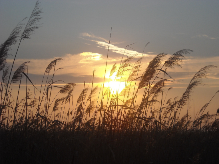 Austria-Neusiedlersee-Burgenland-Linda-Nepicks