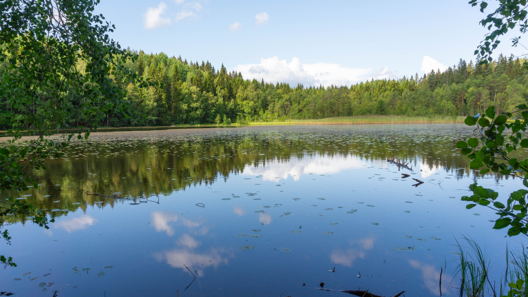 finland-tampere-lake-view-sunny-day-shannen