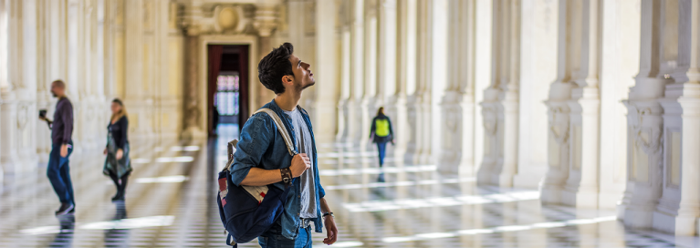 france-paris-louvre-man-in-museum