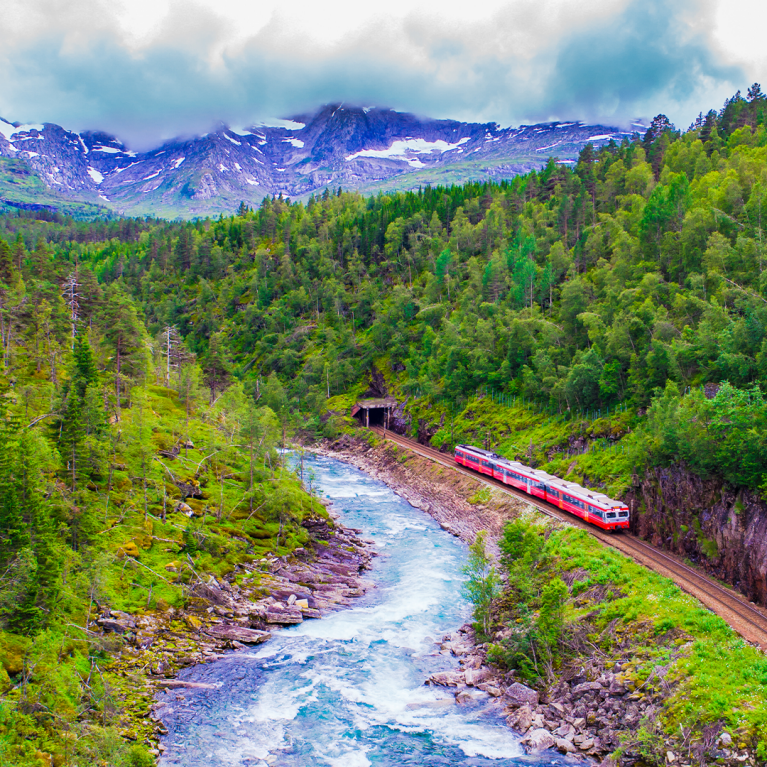 square-norway-bergen-railway-in-summer-grey-day